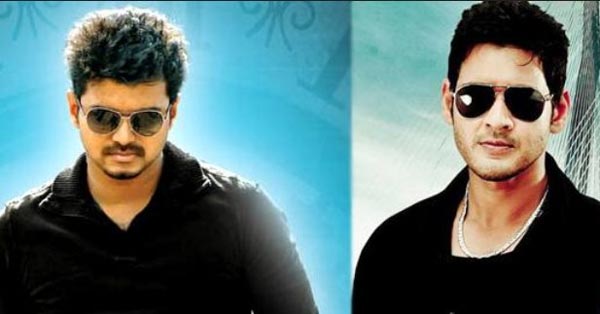 vijay,mahesh babu,murugadoss,tamil star hero vijay in mahesh movie,guest role  విజయ్‌..మహేష్ ని ఉపయోగించుకుంటాడా!